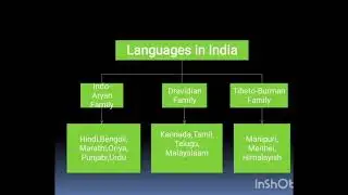 Linguistic diversity of languages in India.