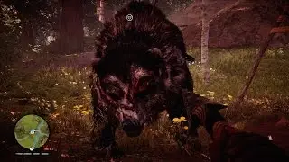 Far Cry Primal - Great Scar Bear Beast Master Hunt - Big Teddy Trophy / Achievement