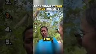 Top 5 Funniest Tour Guide Moments #ranking #funnyvideos #pinoymemes