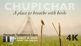 Sony 100-400 GM Lens - is it worthy !