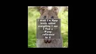 I'm finding a K-pop reference to every single thing I see #reference #kpop #funny