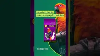 DALIS-ADS-PAPAGALI-1920x1080-2.mp4