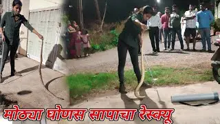 खूपच भयंकर आणि मोठ्या घोणस सापाचा रेस्क्यू 😲