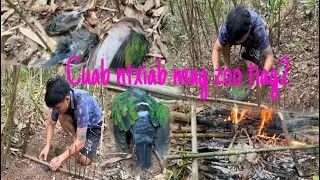Mu cuab ntxiab mag nquab zoo tiag2 #hmoobtxojkevuaneej #movie #funny #food 