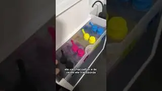 ✨ Finalizamos o processo abastecendo todos os tanques com tinta,