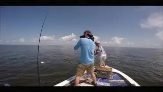 Catching Triple Tail with Capt. Dumas!