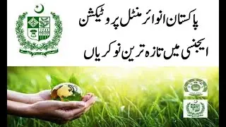 Ministry of Climate Change Jobs 2023 - MOCC Jobs Online Apply - Government Jobs in Pakistan today