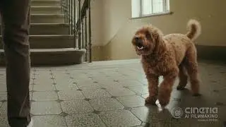Spot publicitario hecho con Inteligencia Artificial