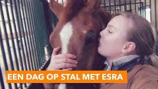 Een dag op stal met Esra | PaardenpraatTV