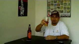 Magic Hat #9