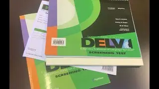 DELV- Отборочный тест