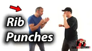 How to Defend against Boxing Style Rib Shots