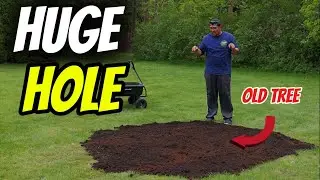 🛠️ How to Fill Big Holes Where Trees Were in Your Yard &ndash; Simple Lawn Repair! 🛠️