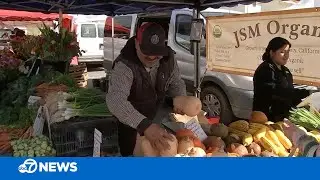 Bay Area farmers' market vendors struggle to recover profits epic winter storms