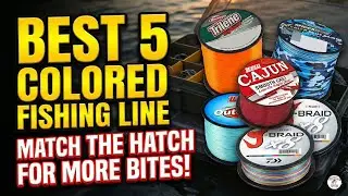 Which Color Catches More Fish? 🎣 Best Colored Fishing Line Guide & Field Test!