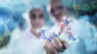 Biocomplexity