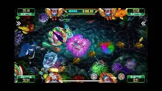 Fire Kirin xyz