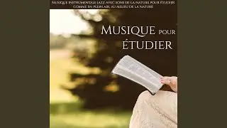 En plein air - Jazz modern