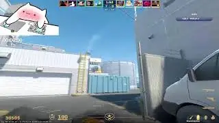 Przedłużany Live Cs2