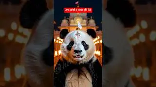 Jai Baba Ramdev Ji: A Panda's Devotional Journey 🐼🚩​ Jai Baba Ri | Cute Panda