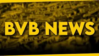 Kommt Kudus? • 3 ablösefreie Spieler aus der Bundesliga! • Transfers in der Abwehr! | BVB NEWS
