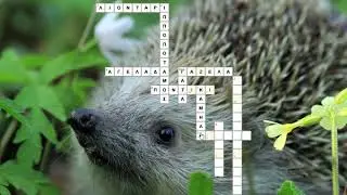 Learningapps.org-Άσκηση Crossword (Σταυρόλεξο)