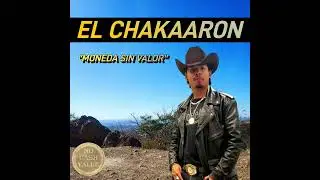 Moneda sin valor 