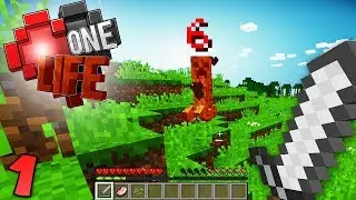 КАК ДОЛГО Я ПРОЖИВУ? Minecraft One Life SMP EP1