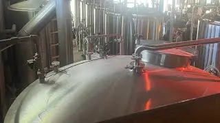 2 Best Breweries in So. Cal(North Park, Monkish)🍻
