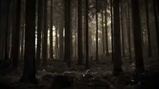 Agalloch - Our Fortress Is Burning... II - Bloodbirds
