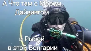 Болгария. Какое здесь Море, Дайвинг и Подводный Мир?