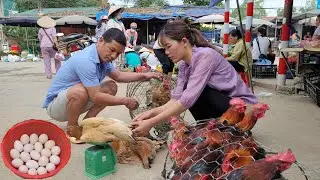 Go to the market to sell chicken and eggs.  Income from raising chickens.  (Episode 158).