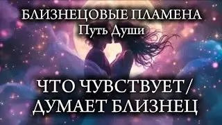 Близнецовые Пламена. Что чувствует/думает близнец?