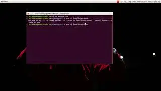 how to stop services running on port 8000 linux