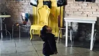 La mejor de likear