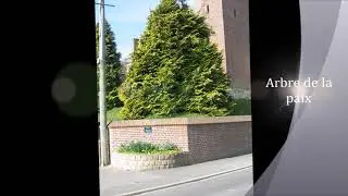 Les Hauts-de-France / Pas-de-Calais (Ransart)