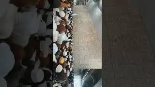 memories - zamarat Rami Hajj 2023 #hajj #hajjmemories #shorts