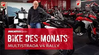 Bike des Monats: Ducati Berlin Multistrada V4 Rally