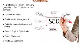 What Can Professional SEO Company Do for Your Business?