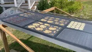 Solar food dehydrator AirFlow-19 Dries food naturally with solar energy