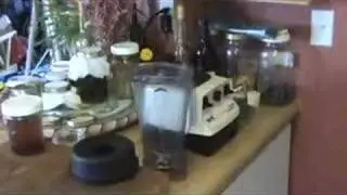 Herbal Cream / Lotion