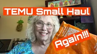 TEMU SMALL HAUL - Again?