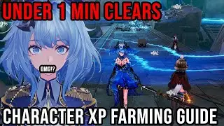 【 Duet Night Abyss Guide 】2 Spots LVL 60 Hedge Farming ( Fastest? Character XP )