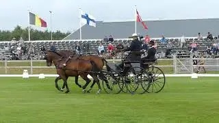 BERLAGE Max, GER, FEI DRIVING WCH for Pairs, part of the dressage, Kronenberg 09  10 09 21