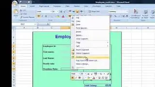Excel - Data Validation & Cell Protection