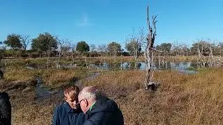 THE DEAD STANDING TREE 