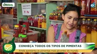 PIMENTA É AFRODISIACO?  Vamos Saber Tudo Com A Especialista