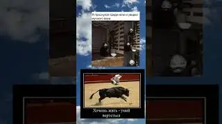 #мем #мемы_тикток #mems #мемы #youtube #shorts #fyp