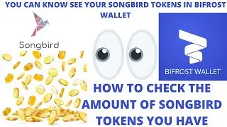 SEE HOW MANY SONGBIRD TOKENS YOU HAVE IN YOUR BIFROST WALLET!