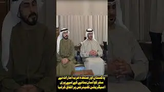 Pakistan and UAE Agree on Pre-Immigration Clearance to Ease Travel